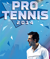 Pro Tennis - high action professional tennis competition